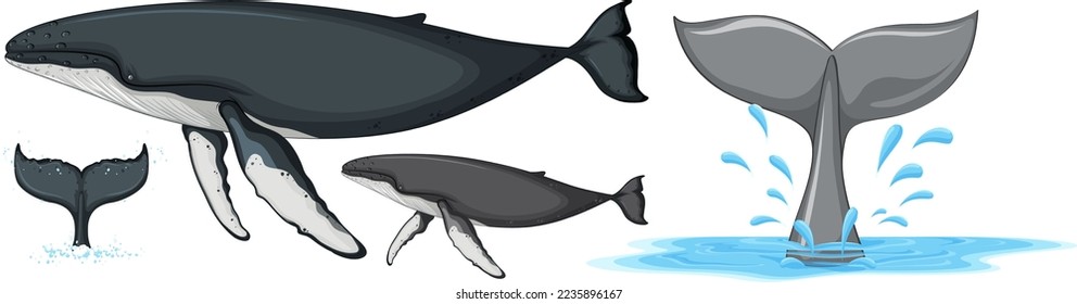 Set of humpback whale isolated illustration