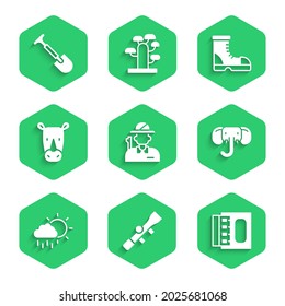 Set Hunter, Sniper óptico sight, Matchbox y fósforos, Elephant, Cloud with rain, Rhinoceros, botas e icono Shovel. Vector