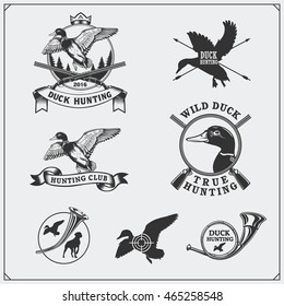 Set of hunting labels and emblems with wild duck.