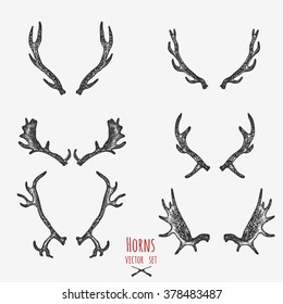 Set of hunting trophy, horns.