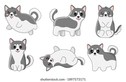 Set of husky in cartoon  style. Collection of dog characters, flat illustration for design, decor, print, stickers, posters. Vector illustration isolated on a white background.