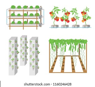 Set of hydroponic plant growth systems. Vegetables and grass growing in nutrient flow systems with water in greenhouse without soil. Color vector illustration. Modern biotechnology