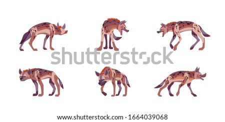 Set Hyena character with different action poses and views isolated on white background