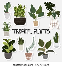 Set of hygge vector illustration plants in pots stickers, patches, pins collection etc. Collection of decorative houseplants isolated on white background. Beautiful natural home decorations.