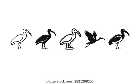 Set of ibis bird icons in different styles and poses