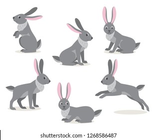 Set of icon cute gray hare in different pose isolated on white background, forest, woodland animal, vector illustration in flat style