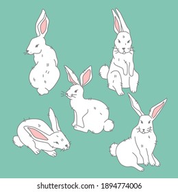 Set of icon cute white hare in different pose on green background, forest, woodland animal, illustration in flat, modern style Vector eps 10 format