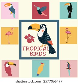 Set icon of Exotic tropical birds of toucan, hummingbird, flamingo, parrots set icon vector illustration of different jungle birds collection in cartoon style. 