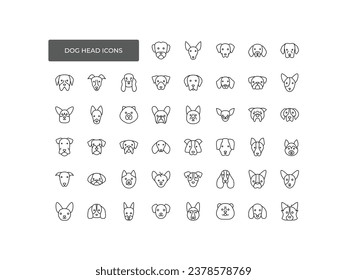 Set icon of heads of different breeds dogs. Corgi, Pug, Chihuahua, Terrier, Retriever, Dachshund, Poodle. isolated vector illustration