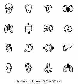 Conjunto de icono Anatomía humana