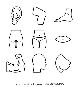 set of icon human body part