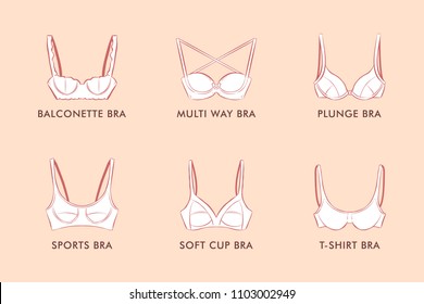Set icon illustration various types bra. Balconette, multi way, plunge, sports, soft cup, t-shirt bra. Female underwear.