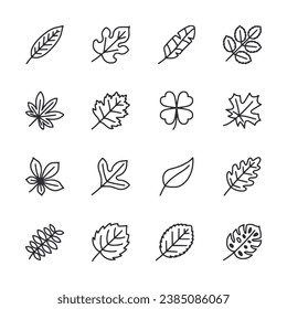 Set of icon leaves isolate on white