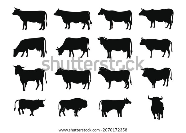 Set Icon Line Farm Animal Cowset Stock Vector (Royalty Free) 2070172358 ...