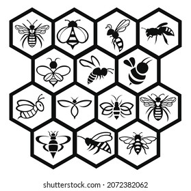  Set icon line of  honey and bee labels for honey logo products, icon Flying bee Flat style vector illustration.