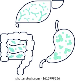 
Set icon of liver, stomach and kidneys in a simple style. Banner on the effect of probiotics on human organism. Elements with internal organs and microorganisms inside. Stock Vector