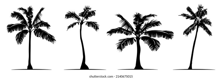 Set of icon of palm tree different formy on white background. Vector illustration of palm tree for logo, tattoo, decoration in flat style.