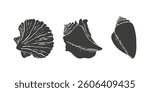 Set icon seashells silhouettes, mollusk, pectinida, conch, scallop. Dark silhouettes on white background.