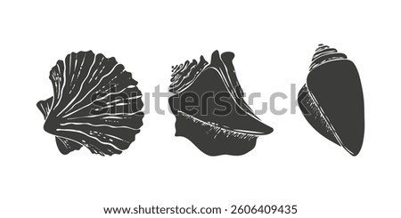 Set icon seashells silhouettes, mollusk, pectinida, conch, scallop. Dark silhouettes on white background.