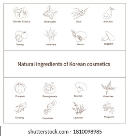 
set of icons about natural ingredients in cosmetics, vector drawing of centella, aloe, lemon, pomegranate, avocado, cucumber, wormwood, eggplant, lavender, tomato, pumpkin, broccoli, ginseng, olive