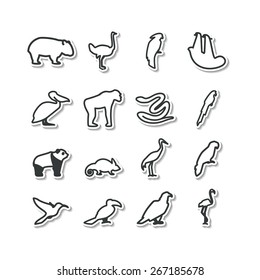 Set with icons - animals and birds. Tropics, Australia. A vector.
