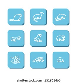 Set with icons - animals of bogs and reservoirs. A vector.