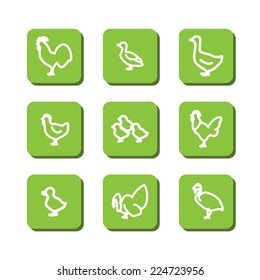 Set with icons - animals on a farm. Bird. A vector.