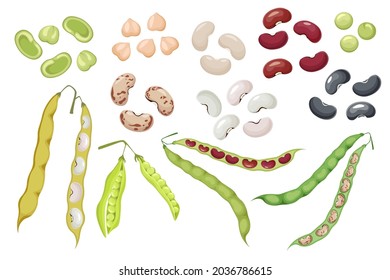 Set of Icons Bean Pods and Seeds, Green Pea and Chickpea Natural Vegetables. Kidney Harvest, Healthy Food Isolated on White Background. Organic Veggies, Garden Plants. Cartoon Vector Illustration