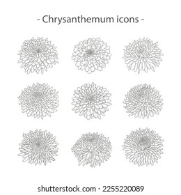 A set of icons of beautiful blooming chrysanthemum flowers. Contour drawing of a lush chrysanthemum bud. Elements for the design of postcards, invitations. Vector illustration on a white background