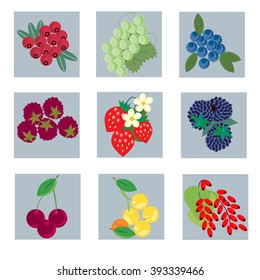 Set of icons with berries. Vector.