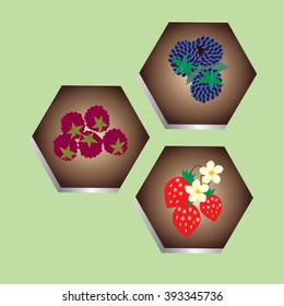 Set of icons with berries. Vector.