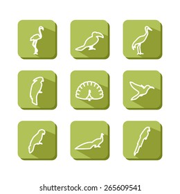Set with icons - birds. Tropics. A vector.