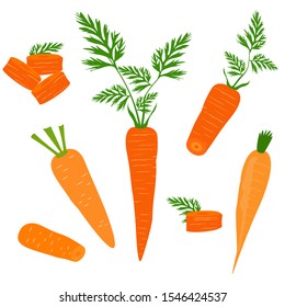 Set icons of carrots. Vector clipart of eco vegetables.