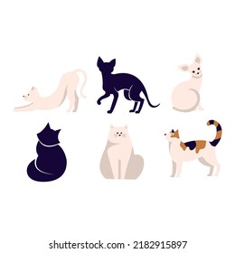 Set of icons with cats. Flat design vector. Variety breeds cats in different poses sitting, standing, stretching, lying. For veterinary clinic, pet shop advertising concept. Collection of kittens