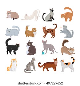 Set of icons with cats. Flat design vector. Variety breeds cats in different poses sitting, standing, stretching, playing, lying. For veterinary clinic, pet shop advertising. Collection of kittens