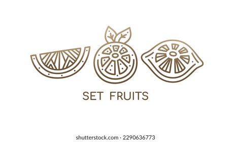 Set icons citrus fruits. logo of lemon, orange, grapefruit sliced, flower, plant leaves. Tropical symbol exotic fruits. Vector linear illustration. Symbol of farm, raw and eco food, health, diet.