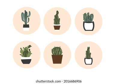 Set of icons with colorful cacti for design.Vector illustration