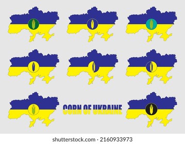 Set of icons of corn cobs on the map of Ukraine in the colors of the national flag. Inscription Corn of Ukraine. Vector illustration.
