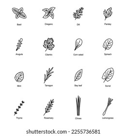 Set of icons of culinary herbs, vector illustration
