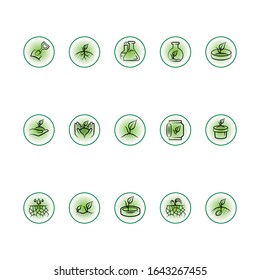 Set of icons dedicated to ecology, gardening, plants. Vector set of plant icons.