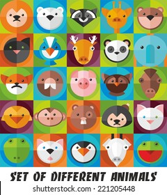 set of icons with different animals