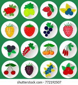 A set of icons of different fruits, berries in a white circle with a shadow on a green background. Logo, vegetables for the farm. Flat style, vector.