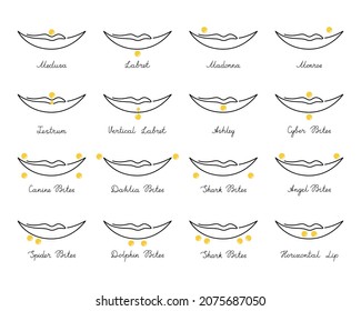 Set Icons Different Types Of Lips Pierced. Vector Line Art Infographic Elements Illustration. International Body Piercing Day. Icon Face Jewelry