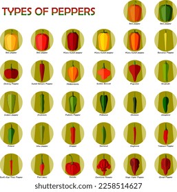 Set of icons with different types of peppers. Sweet peppers. Mild and medium hot, super hot Chili peppers. Vegetables. Flat style. Vector illustration isolated on white background.