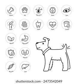 Un conjunto de iconos para el perro. Los iconos de esquema son bien escalables y editables. Los Elementos contrastantes son buenos para diferentes fondos. EPS10.	