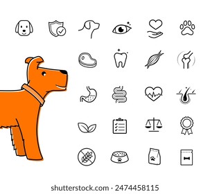 A set of icons for dog. The outline icons are well scalable and editable. Contrasting elements are good for different backgrounds. EPS10.	