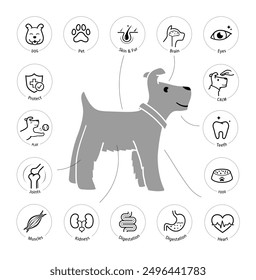 A set of icons for dog. The outline icons are well scalable and editable. Contrasting elements are good for different backgrounds. EPS10.	