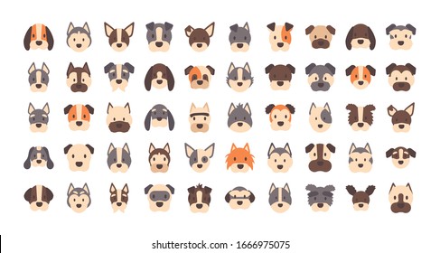 set of icons of faces different breeds of dogs vector illustration design