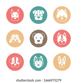 set of icons of faces different breeds of dogs vector illustration design