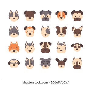 set of icons of faces different breeds of dogs vector illustration design